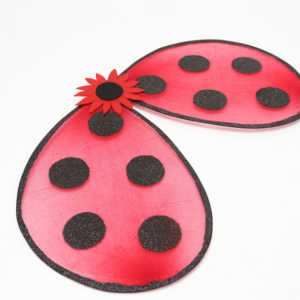 Ailes de Coccinelle pour Halloween