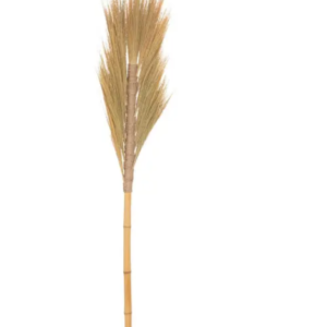 Tige de fleur séchée